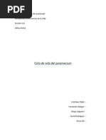 Download Ciclo de vida del parameciumdocx by DASV28 SN236617623 doc pdf