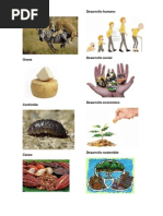 Antecedentes del Porfiriato.pdf