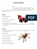 Animales Invertebrados