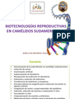 Biotecnologías Reproductivas en Camélidos Sudamericanos