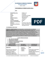 PLAN DE DESARROLLO CURRICULAR DE AULA Luis