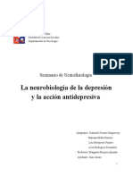 The Neurobiology of Depression and Antidepressant Action. Docs