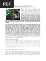Download Pestisida Nabati Dari Buah Maja by Fahrur Rozi SN236651576 doc pdf