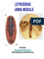 Aleyrodidae Training Module: John Dooley 650-876-9093 (Office) & 650-876-0915 (Fax)