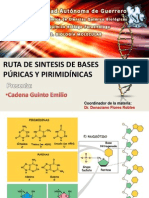 Ruta de Sintesis de Bases Púricas y Pirimidínicas