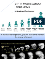 4.6 Growth in Multicellular Organisms