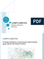 Campo Amistad