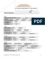 6 Evaluación de Las Bases Anatómicas y Funcionales