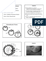 Placenta and Fetal Membranes Formation and Function