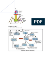 Struktur Tubuh Virus