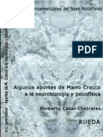 Algunos Aportes de Mario Crocco A La Neurobiología y Psicofísica - Contreras, Norberto C. - Rueda Editores (2014)
