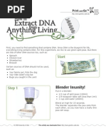Download DNA Extraction by Kiko SN23669539 doc pdf