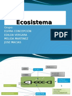 Ecisistema Dia 2