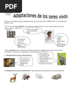 Cs Nat Adaptaciones Seres Vivos