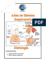 Histologia Del Sistema Respiratorio