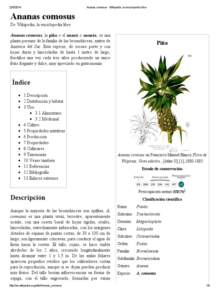 Ananas Comosus Wikipedia La Enciclopedia Libre Plantas