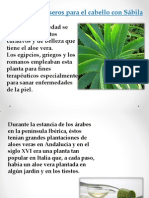 Remedios Caseros para El Cabello Con Sábila