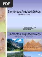 Endodoncia Carlos Estrela Pdf