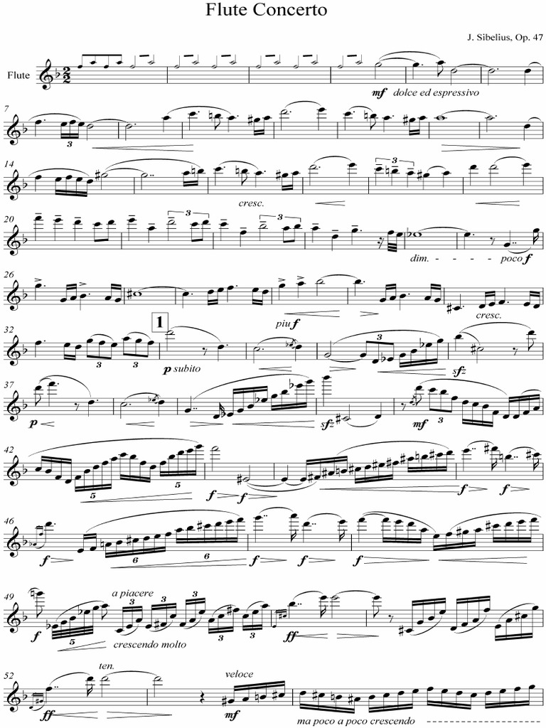 Stå sammen Stewart ø omdrejningspunkt Sibelius Violin Concerto - Flute Arrangement | PDF | Compositions |  Orchestral Music