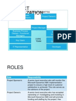 Project Organization Structure - NAV