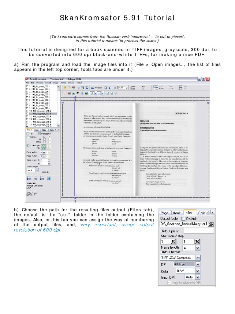 SkanKromsator 5.91: 600 DPI Conversion Guide | PDF | Image Scanner ...