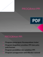 Program Ppi