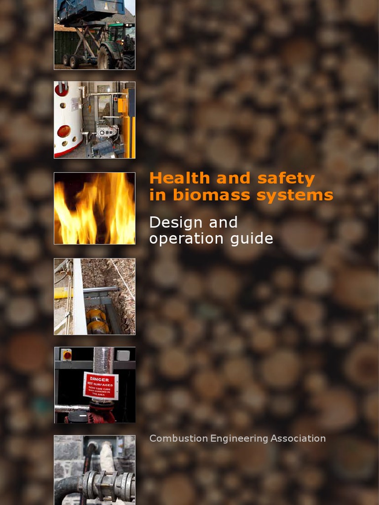 Health and Safety in Biomass Systems PDF Boiler Occupational