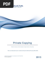 Download Private Copying report by Ilya SN236789110 doc pdf