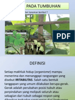 Materi Gerak Pada Tumbuhan