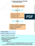 SCA protocolo final