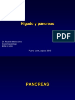 Clase Higado y Pancreas