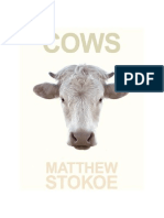 04-Stokoe Matthew - Cows