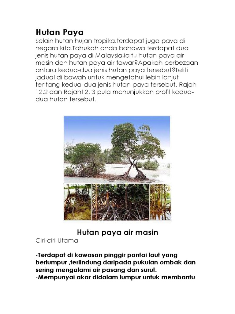 Hutan Paya Pdf