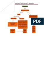 c Map Neurología