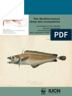 The Mediterranean Deep-sea Ecosystems
