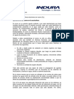 File_2267_ozono Para Acuicultura Versión 15-12-2008