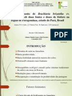 Apresentação de Forragicultura - Estabelecimento de Brachiaria Brizantha Cv. Marandu Sob Duas Fontes e Doses de Fósforo Na Região de Paragominas, Estado Do Pará, Brasil
