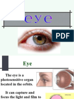 EYE&ear 1