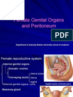 Female Genital Organs and Peritoneum