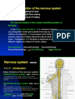 Introduction and Spinal Cord