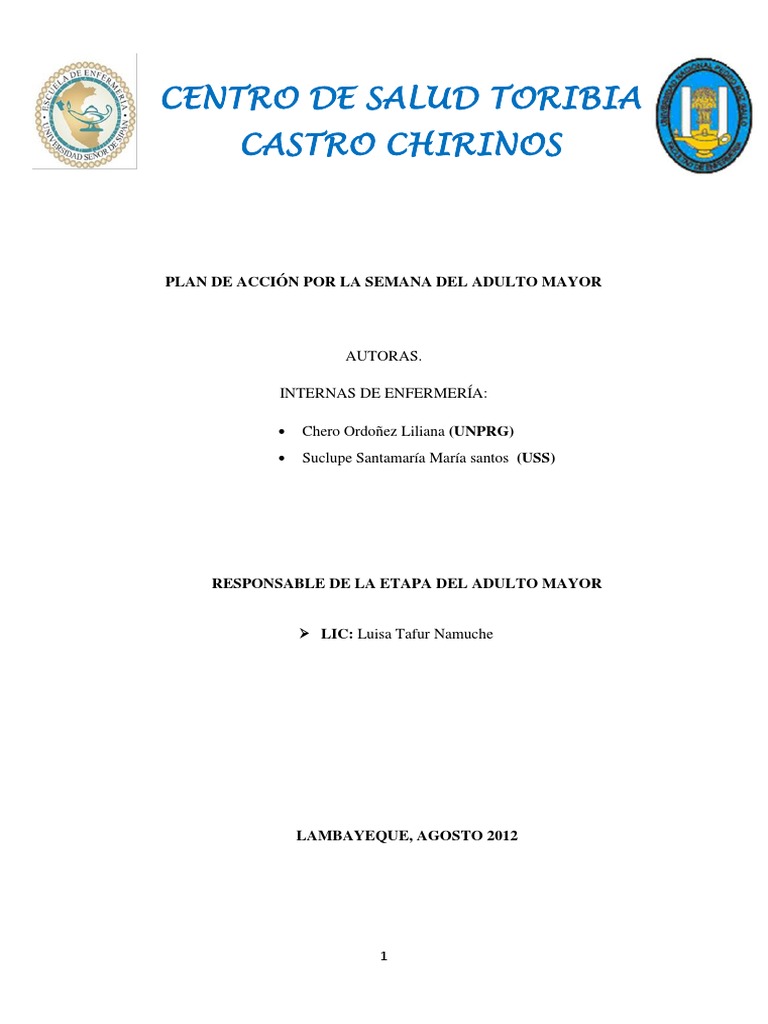 Plan de Acción: Adulto Mayor Saludable | PDF | Vejez | Adultos