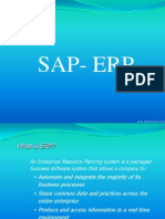 What is ERP? SAP Overview Guide for Auditors
