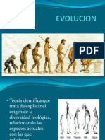 Sem 17 - Evolucion