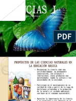 Estandarres Curriculares de Ciencias 1