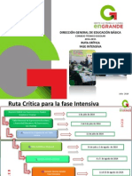 Ruta Critica Fase Intensiva