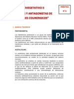 Informe 6