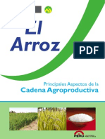 agroeconomiaarroz3