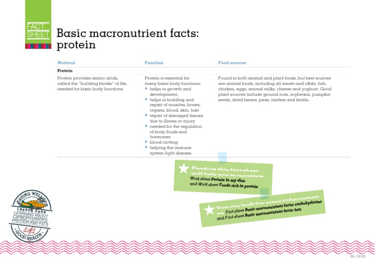 Protein | PDF