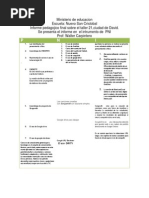 informe pedagogico final en pni