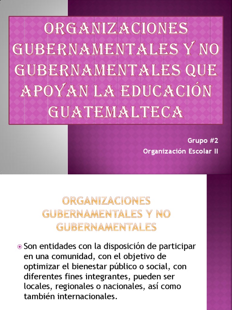 Organizaciones Gubernamentales y No Gubernamentales Que